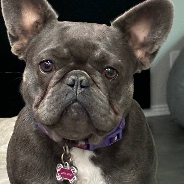 Queen Nahla