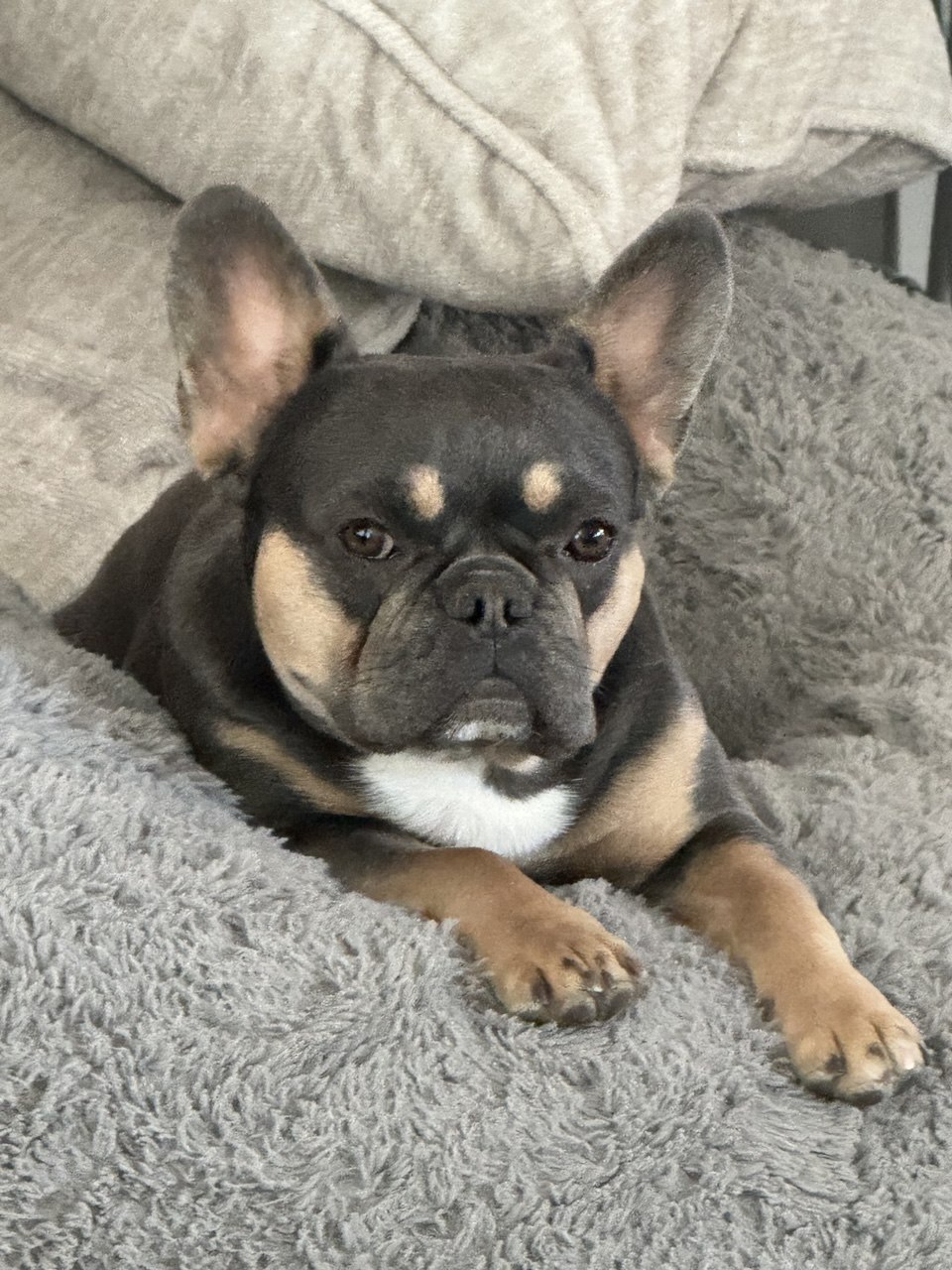Super Nova